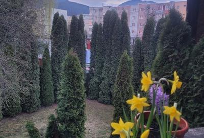 Garsonieră decomandată în Central - 4