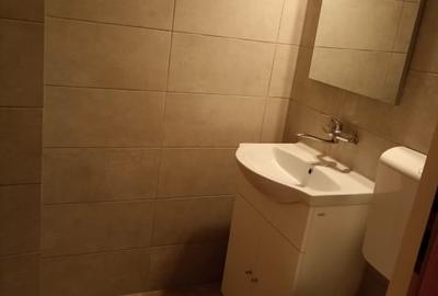 Apartament cu 3 camere decomandat, mobilat în Brâncoveanu - 5
