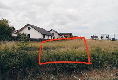 Teren agricol intravilan de 1193 mp, în Bradu - 2