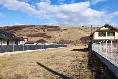 Teren de 2300 mp, în Dărmănești - 2