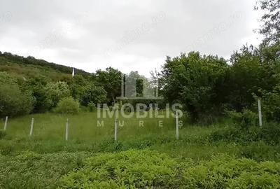 Teren de 994 mp, în Budiu Mic - 8