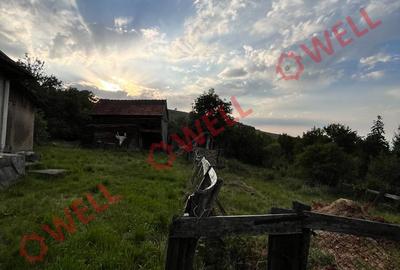 Casă individuală cu 2 camere cu Teren 537 Mp în Boroșneu Mare - 11