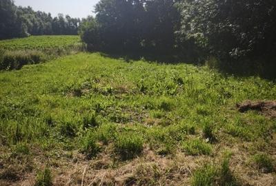 Casă cu 2 camere cu Teren 5567 Mp în Frătăuții Vechi - 7