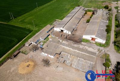 Teren agricol intravilan de 11532 mp, în Mihail Kogălniceanu - 4