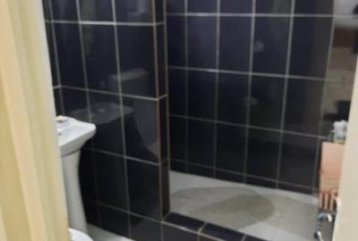 Apartament cu 2 camere decomandat, mobilat în Centru Civic - 3