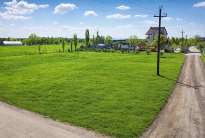 Teren Construcții intravilan de 2495 mp, în Cornetu - 1