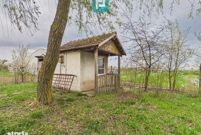 Teren de 10000 mp, în Grădiște - 5