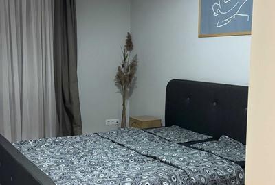 Apartament cu 2 camere semidecomandat în Dosu Bricii - 2