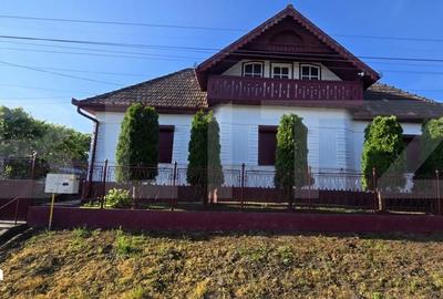 Casă cu 5 camere cu Teren 3398 Mp în Criș