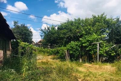 Teren de 2900 mp, în Ceanu Mic - 3