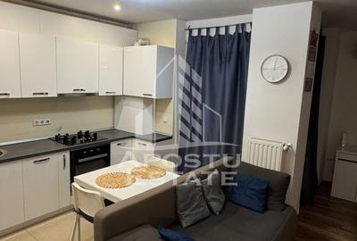 Apartament cu 15 camere nedecomandat, mobilat în Aradului
