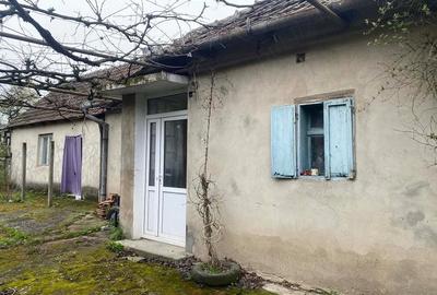 Casă cu Teren 1000 Mp în Căuașd - 3