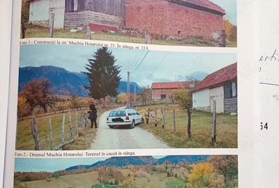 Teren de 10731 mp, în Sohodol - 1