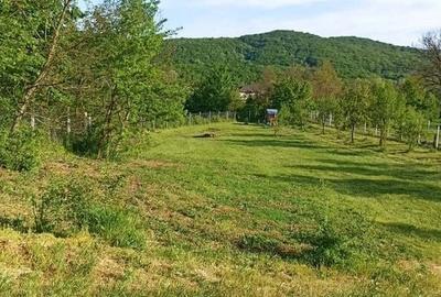 Teren de 1665 mp, în Tisău - 1