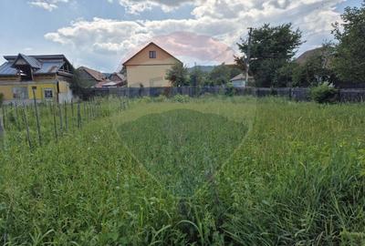 Teren Construcții intravilan de 5597 mp, în Poduri - 9