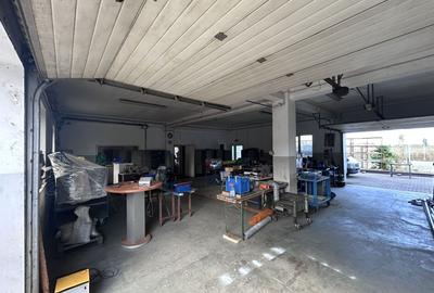 Spațiu industrial, de 960 mp, în Micălaca