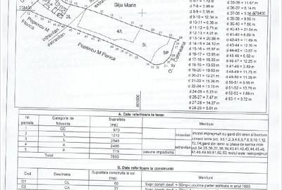 Casă cu 3 camere cu Teren 7800 Mp în Central - 2