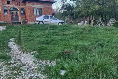 Casă cu 4 camere cu Teren 5108 Mp în Poienari (Poienarii de Muscel) - 3