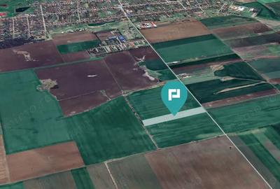 Teren de 30000 mp, în Peciu Nou - 2