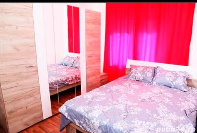 Apartament cu 2 camere decomandat, mobilat în Lipovei - 6