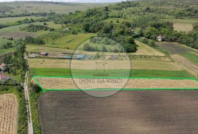 Teren de 2100 mp, în Borșa - 10