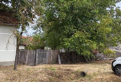 Casă cu Teren 3950 Mp în Bacău de Mijloc - 5