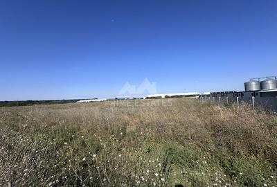 Teren Construcții intravilan de 24661 mp, în Ștefăneștii de Jos