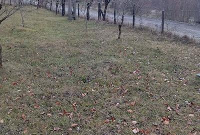 Teren de 2000 mp, în Ocina de Sus - 2