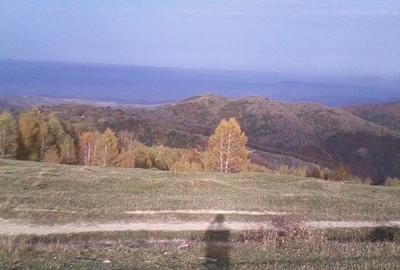 Teren de 21400 mp, în Central