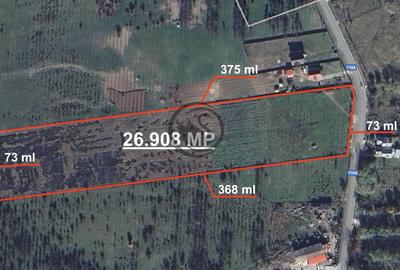 Teren Construcții intravilan de 26908 mp, în Iedera de Jos - 2