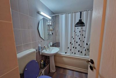 Apartament cu 3 camere decomandat în Dosu Bricii - 1