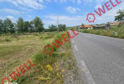 Teren de 2400 mp, în Barcani