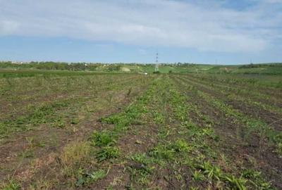 Teren de 7400 mp, în Jucu de Mijloc