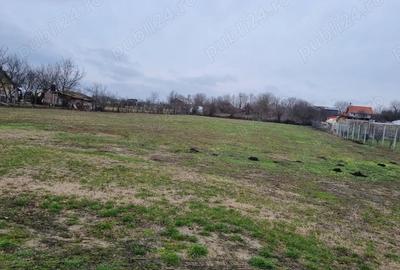 Teren de 3000 mp, în Cerneteaz - 2
