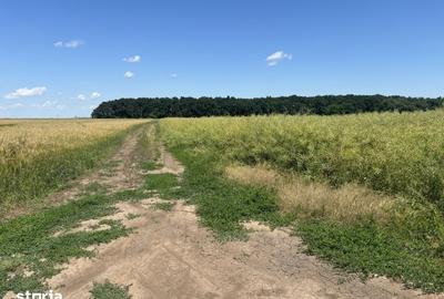 Teren de 30000 mp, în Alexandru I. Cuza