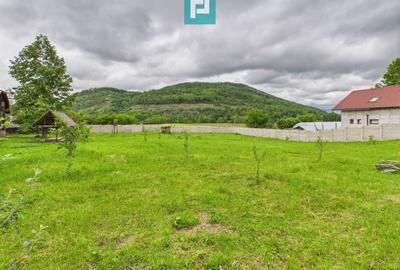 Casă individuală cu 3 camere cu Teren 2914 Mp în Gurahonț - 23
