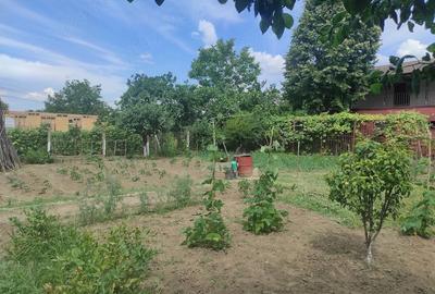 Casă cu 2 camere cu Teren 812 Mp în Central - 6