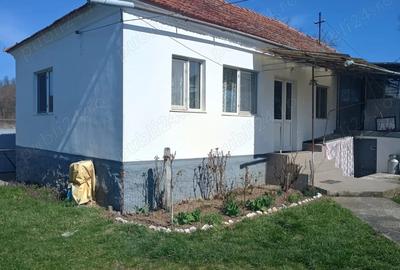Casă cu 2 camere cu Teren 1950 Mp în Gothatea
