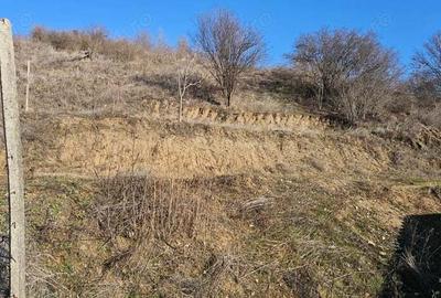 Teren de 868 mp, în Schitu - 1