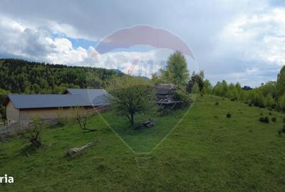 Spațiu comercial, în Dâmbovicioara - 1
