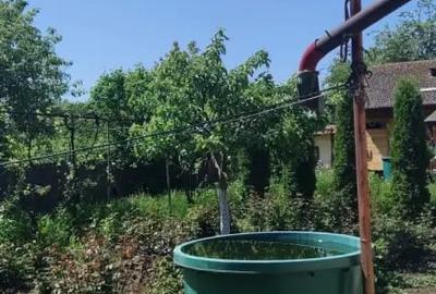 Casă cu 2 camere cu Teren 2000 Mp în David - 8