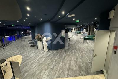 Spațiu comercial, de 1,150 mp, în Herăstrău - 8