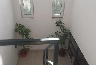 Casă cu 6 camere cu Teren 3200 Mp în Toporu - 5