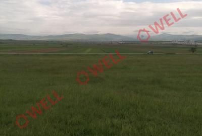 Teren agricol intravilan de 25000 mp, în Moacșa - 3