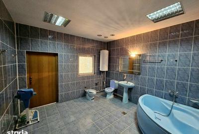 Casă cu 10 camere cu Teren 10000 Mp în Vorona - 4