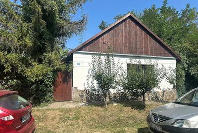 Casă cu Teren 1215 Mp în Ant