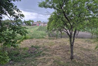 Casă cu 5 camere cu Teren 1870 Mp în Lenauheim