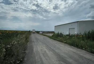 Teren de 6300 mp, în Ozun - 7