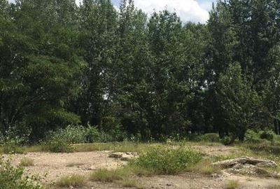 Teren de 500 mp, în Central - 2