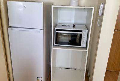 Apartament cu 2 camere semidecomandat în Victoriei - 4
